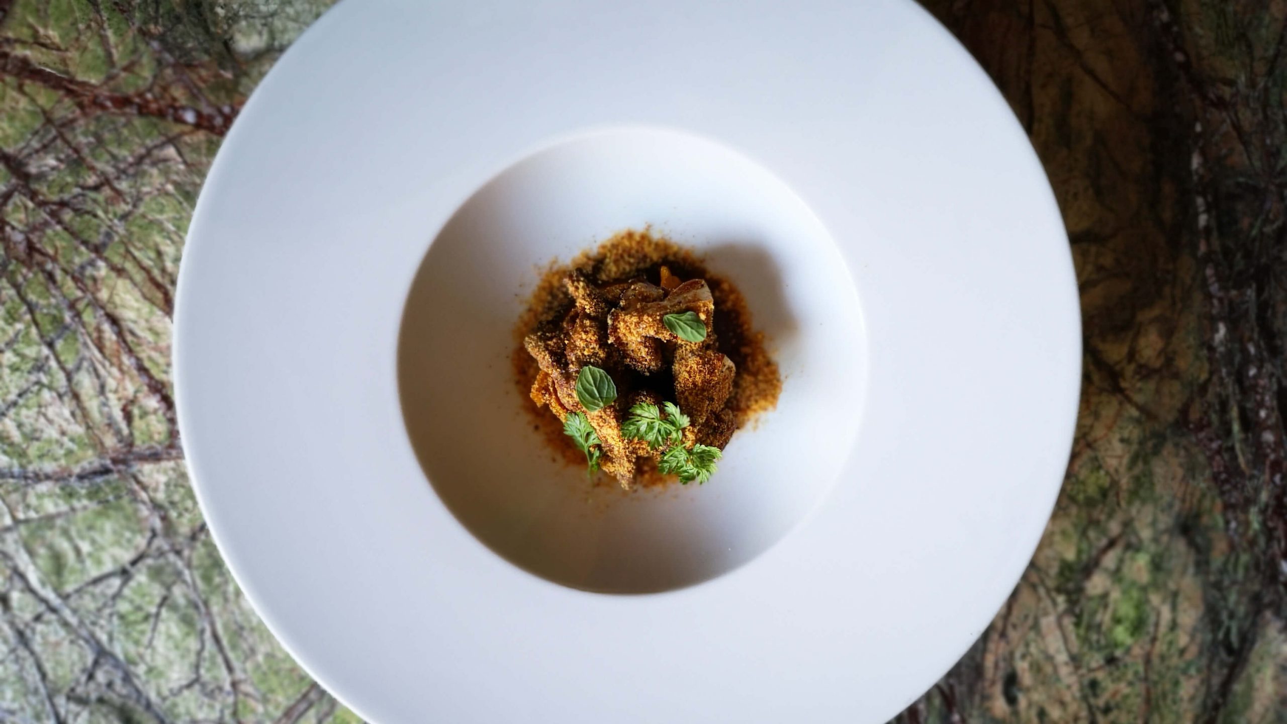 Fettuccine with Goose Ragout and Panettone, Licorice and Saffron - Insolito Panettone